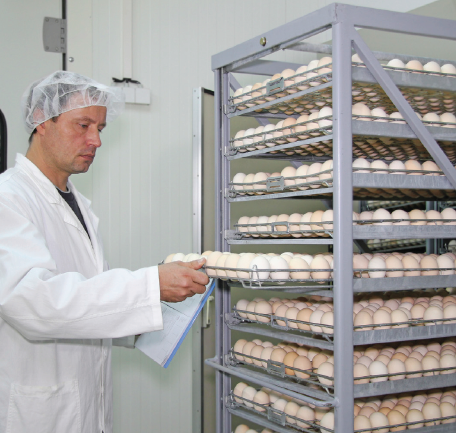 poultry hatchery manager