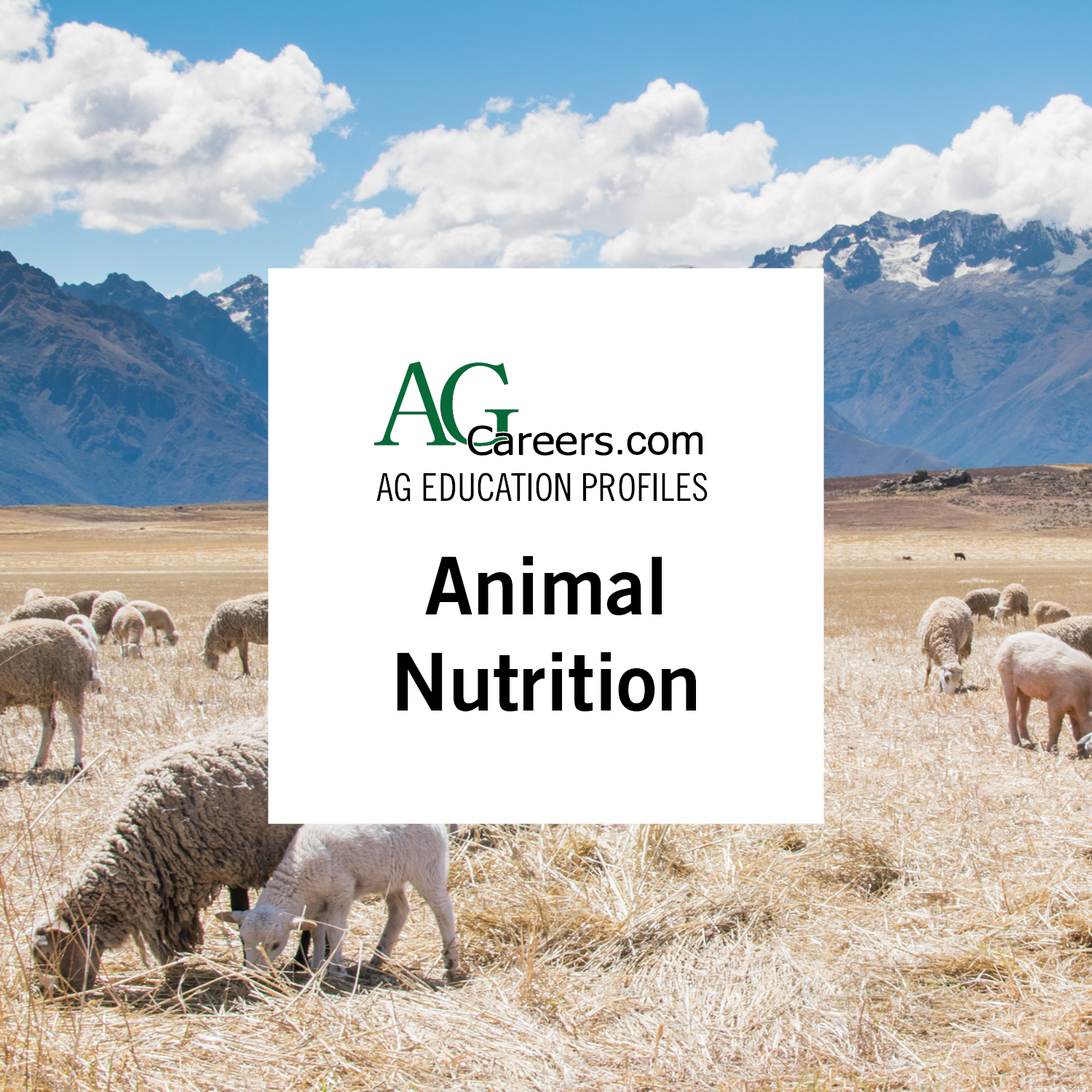 Animal Nutrition | Education Profile 