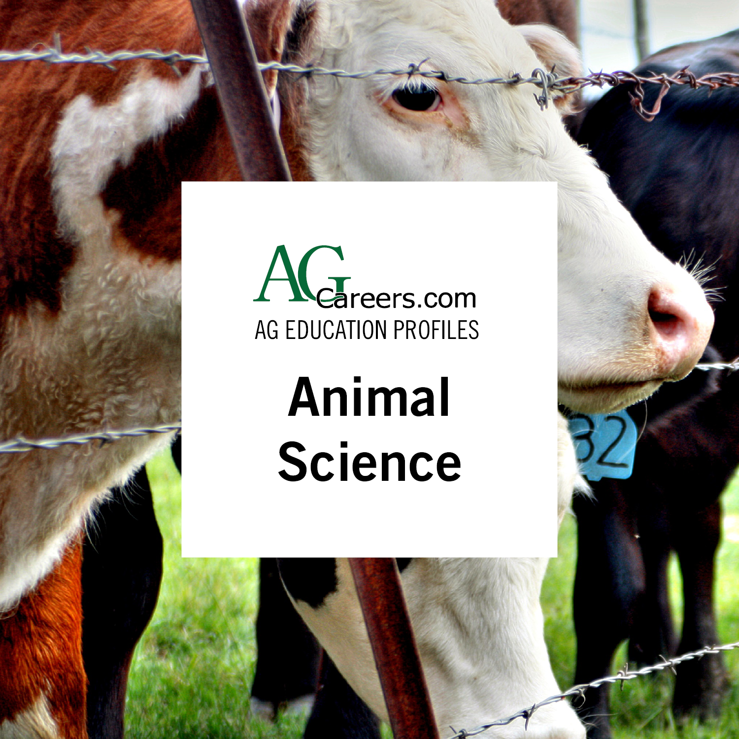 Animal Science | Education Profile 