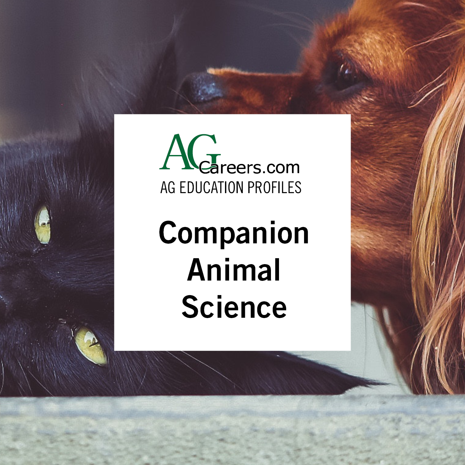 Companion Animal Science | Education Profile 