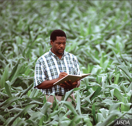 Crop Adjuster | Career Profile | AgCareers.com