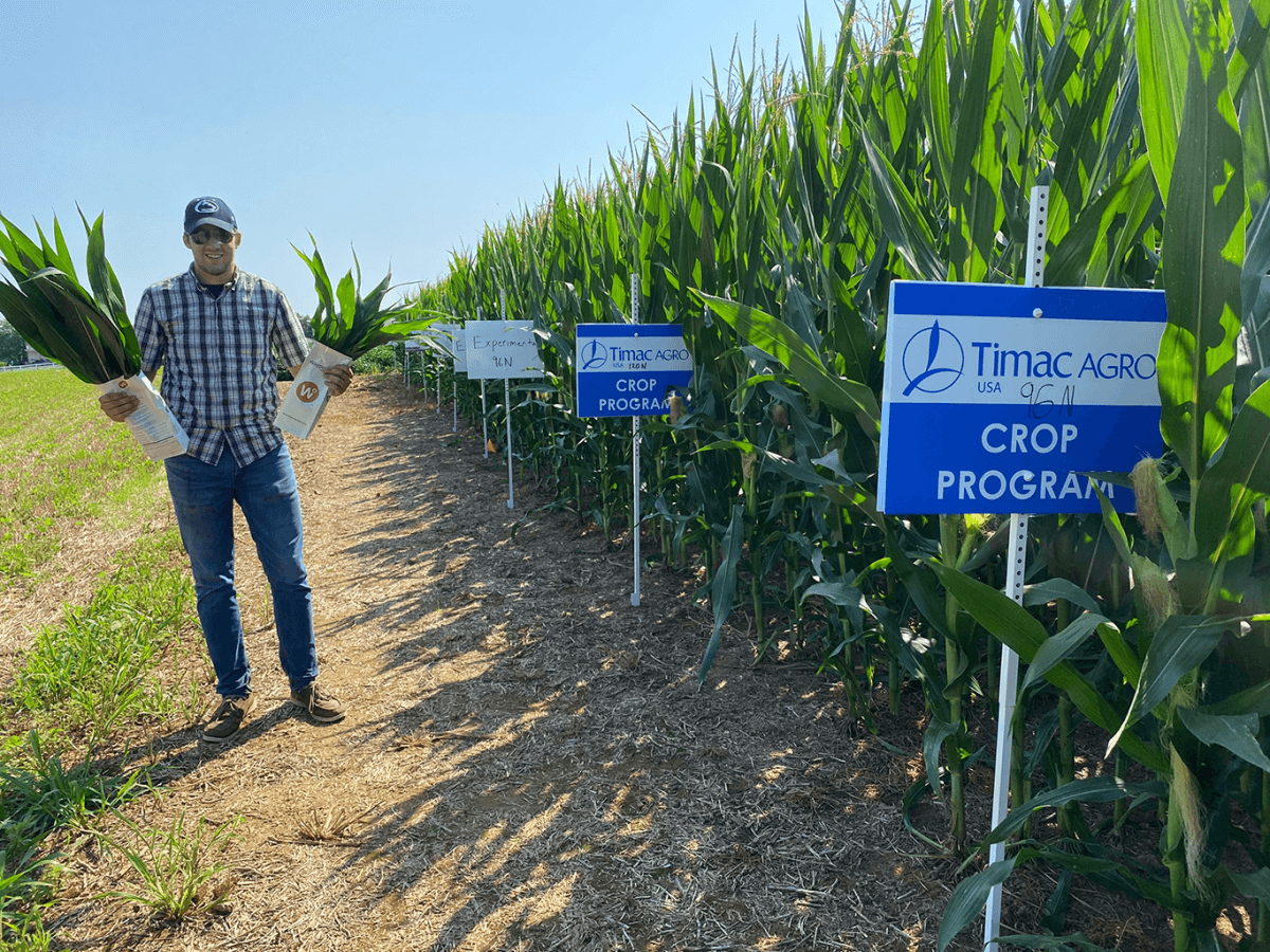 Man in a corn field holding crops