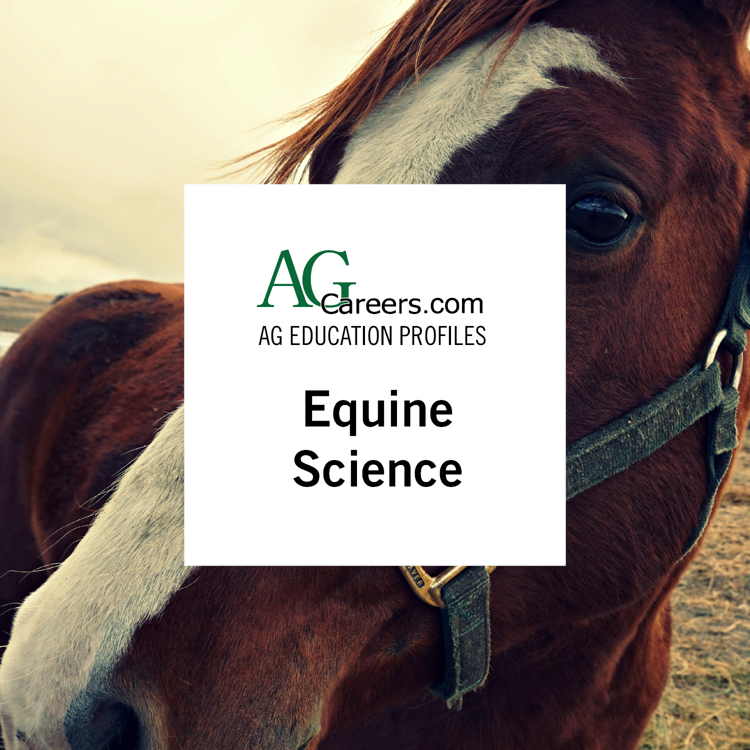 Equine Science | Education Profile 