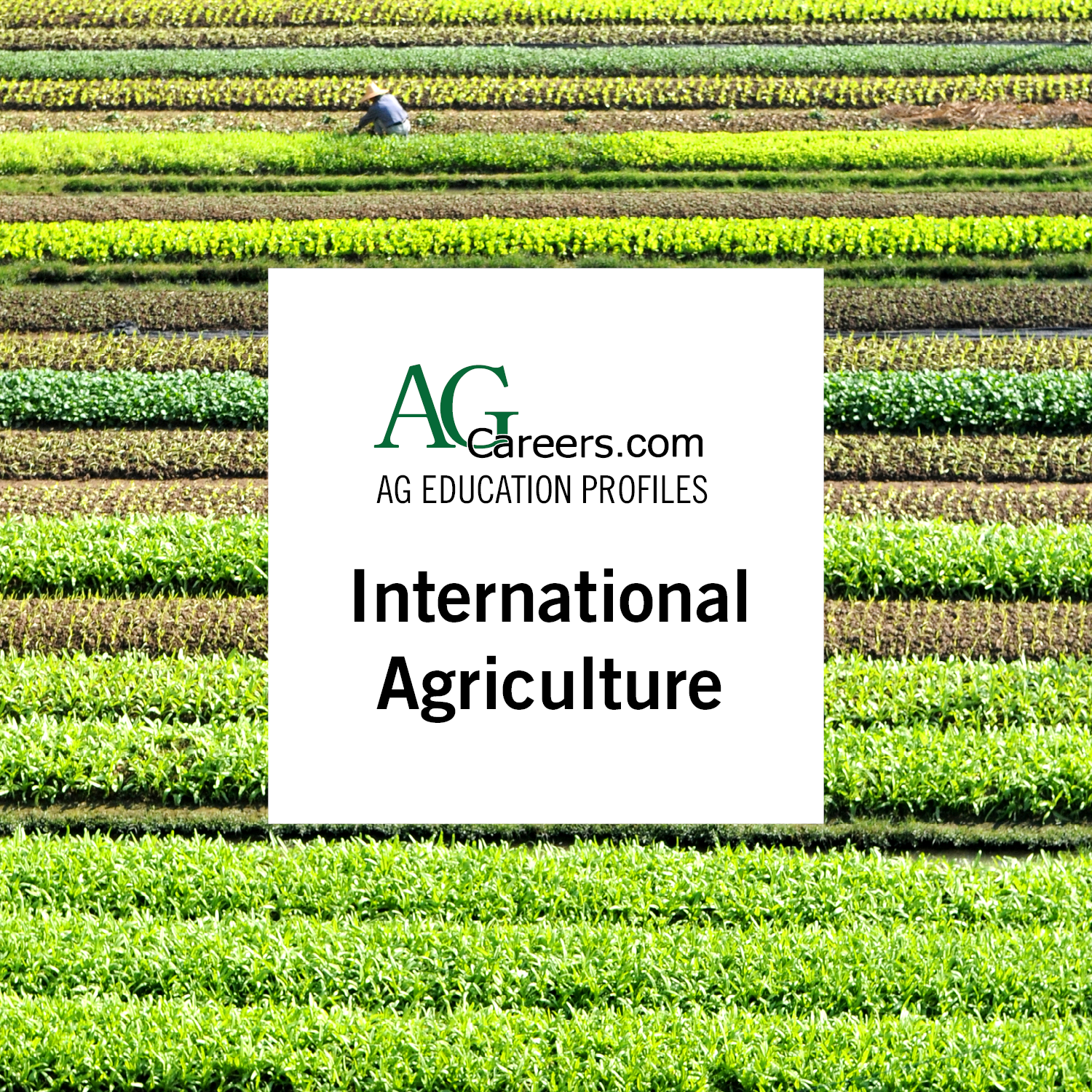 international agriculture