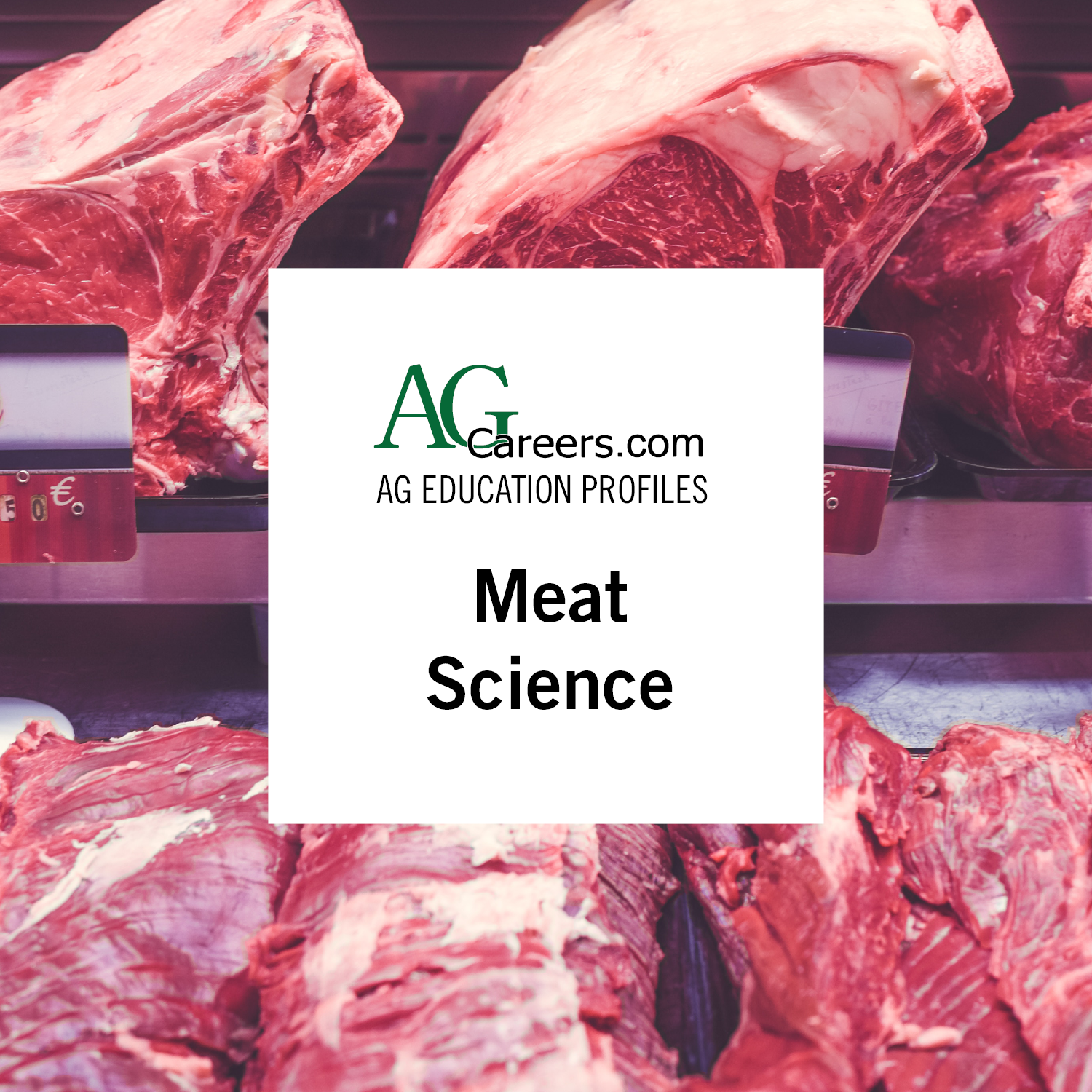 meat science