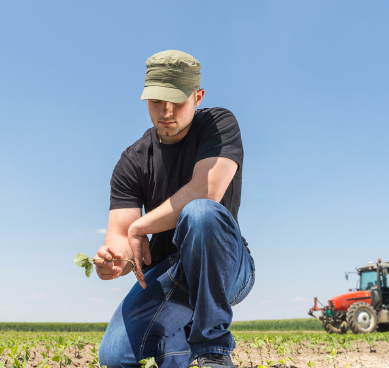 row crop producer farmer