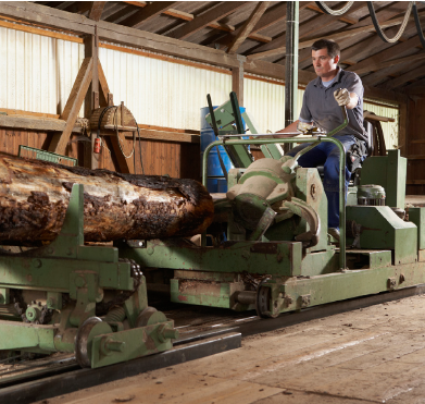 Sawmill Operator