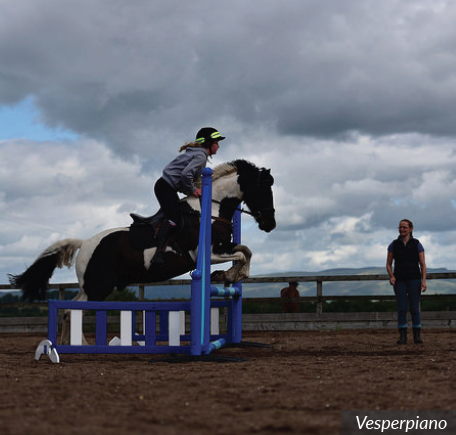 horse trainer