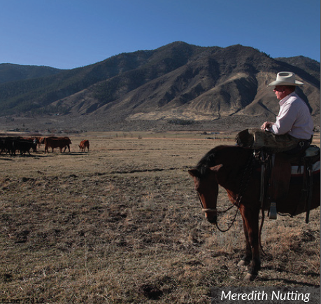ranch manager