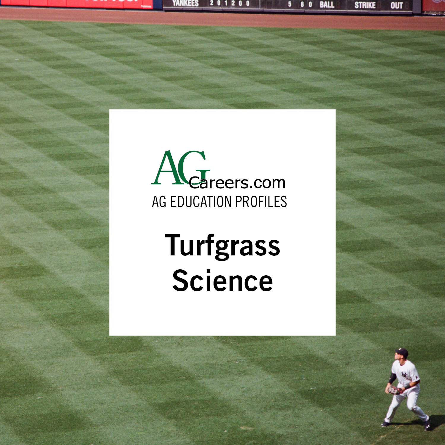 turfgrass science