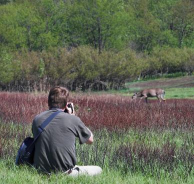 wildlife biologist