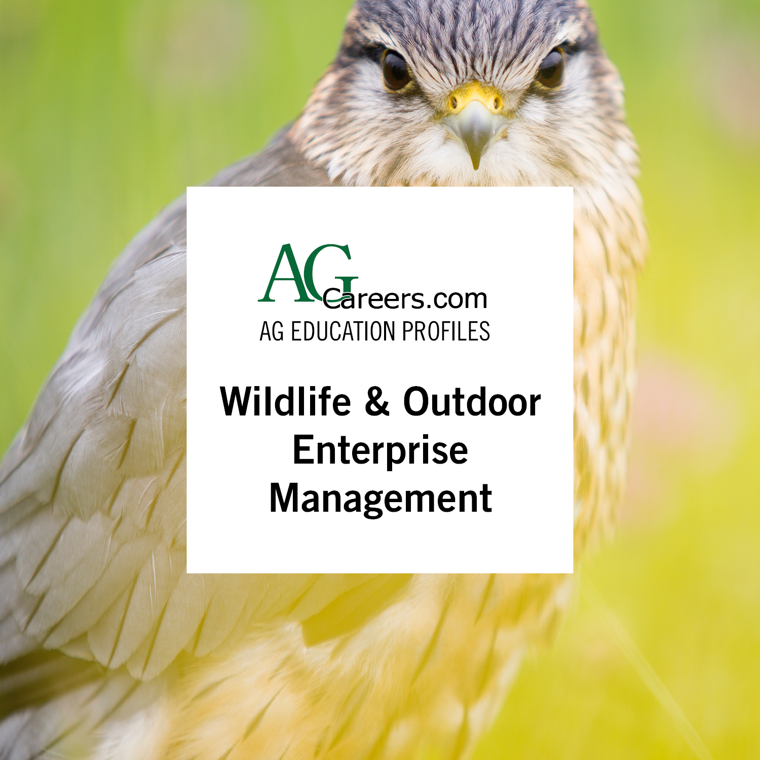 wildlife outdoor enterprise management