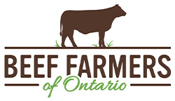 Beef Farmers Of Ontario