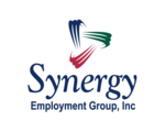 Synergy Employment Group, Inc.