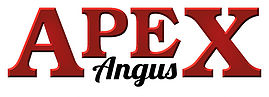 Apex Angus Ranch