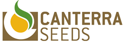 CANTERRA SEEDS