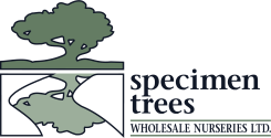SPECIMEN TREES WHOLESALE NURSERIES