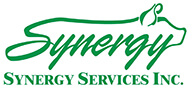 Synergy Services Inc.