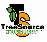 TreeSource Citrus Nursery